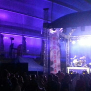 Wonderland Festival!